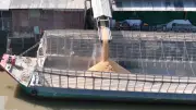 Phạt hai nhà máy xay xát lúa gạo gây ô nhiễm bụi ở Cờ Đỏ
