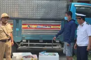 Phát hiện 145kg nội tạng lợn thối được vận chuyển từ Lào Cai về Hà Nội
