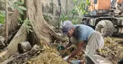 Phát hiện gần 40 bộ hài cốt khi mở rộng đường ở Đà Nẵng