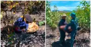 Phát hiện hai vợ chồng tử vong sau vụ cháy rừng tại Hà Giang