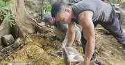 Phát hiện khoảng 80 bộ hài cốt khi thi công đường Tây Thành ở Ninh Bình