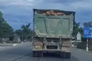 Phát hiện thi thể nam thanh niên sau xe tải chở đất trên Quốc lộ