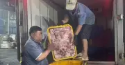 Phát hiện xe chở 250 kg thịt heo không rõ nguồn gốc tại TP.HCM