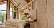 Phát minh mới biến nấm thành gỗ, tái chế chất thải xây dựng hiệu quả