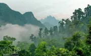 Phát triển Vườn Quốc gia Xuân Sơn thành điểm du lịch sinh thái trọng điểm