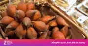 Quả mây: Loại quả rừng vỏ xù xì như da rắn, bổ dưỡng bất ngờ