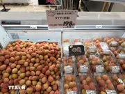 Quảng bá hương vị Việt Nam tại hàng trăm cửa hàng trên toàn Nhật Bản