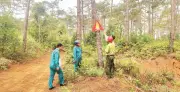 Quảng Ngãi dùng flycam giám sát rừng mùa khô, phát hiện sớm cháy và phá rừng