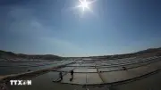 Quảng Ngãi giữ hồn di sản nghề muối Sa Huỳnh gắn với phát triển du lịch