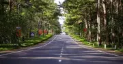 Quảng Ngãi kiến nghị bổ sung sân bay Măng Đen và Lý Sơn vào quy hoạch