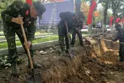 Quảng Ngãi đào 4 rãnh thăm dò tìm hài cốt liệt sỹ tại đường Trường Chinh