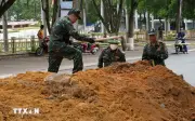 Quảng Ngãi tập trung quy tập hài cốt liệt sỹ ở đường Trường Chinh đến hết năm 2026