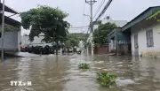 Quảng Ninh: Di dời 115 hộ dân vùng rộng ngập Khe Sim