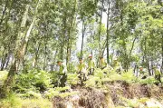 Quảng Ninh lắp 7 tháp quan trắc, ứng dụng công nghệ giám sát cháy rừng