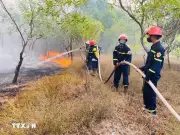 Quảng Trị: Cháy rừng tràm bùng phát liên tiếp giữa cao điểm nắng nóng