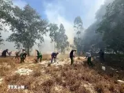 Quảng Trị huy động hàng trăm người khống chế vụ cháy rừng tràm