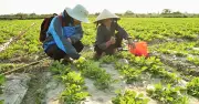 Quảng Trị tìm giải pháp thích ứng khí hậu từ người dân qua cuộc thi sáng tạo