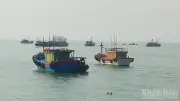 Quảng Trị đầu tư 35 tỷ đồng xây dựng khu neo đậu tàu cá