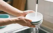 Rửa bát mỗi ngày nhưng nhiều người mắc 5 sai lầm tai hại, vi khuẩn bám đầy trên bát đĩa mà không hề biết