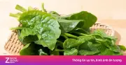 Rau mồng tơi: 'Dược liệu vàng' bổ máu, dưỡng mắt giá rẻ bất ngờ