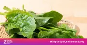 Rau mồng tơi: Lợi ích bất ngờ và ai nên tránh xa