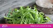 Rau muống: Kho dinh dưỡng tự nhiên cho mùa hè, tốt cho sức khỏe