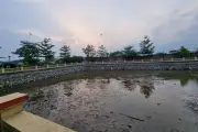 Rơi dây chuyền 100 triệu xuống giếng làng, vợ chồng thuê máy bơm hút cạn nước tìm lại