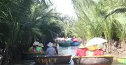 Rừng dừa Bảy Mẫu: 'Lá phổi xanh' và điểm du lịch hút khách giữa phố Hội