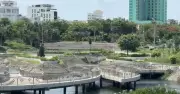 Rừng xanh giữa lòng đô thị Tuy Hòa: Kỳ quan thiên nhiên và nỗ lực bảo tồn