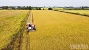 Sử dụng chế phẩm sinh học giảm chi phí hướng đến nông nghiệp bền vững