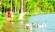 Sửa đổi Luật Bảo vệ môi trường: Đơn giản hóa thủ tục, thúc đẩy chuyển đổi xanh