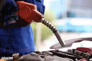 Sau 4 ngày, cả nước tiêu thụ hơn 141 triệu lít xăng E10