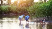Sức hút du lịch cộng đồng ven biển Ninh Bình