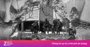 Sách Biệt Động Sài Gòn tái hiện trận đánh Tòa Đại sứ Mỹ 1968