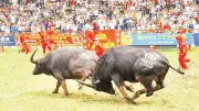 Đồ Sơn hướng tới trung tâm du lịch quốc tế đa chức năng