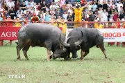 Đồ Sơn làm mới sản phẩm du lịch để thu hút khách quốc tế