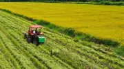 Sản xuất nông lâm thủy sản 5 tháng đầu năm 2026 ổn định