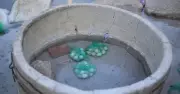 Suối nước nóng Hội Vân: Kỳ quan luộc trứng tự nhiên giữa lòng Gia Lai