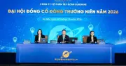 Sunshine Group chuyển sàn HoSE: Không gọi vốn bằng mọi giá, chỉ mở cho quỹ khi an toàn