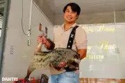 Từ chủ doanh nghiệp đến ông chủ trang trại chồn hương thu lãi tiền tỷ