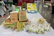 Từ chính sách đến hành động: Mở rộng tái chế, kiến tạo kinh tế tuần hoàn