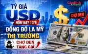 Tỷ giá USD hôm nay 10/6: Đô la Mỹ thị trường tự do tăng giá