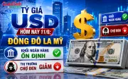 Tỷ giá USD hôm nay 11/6: Đô la Mỹ ngân hàng ổn định, thị trường chợ đen giảm giá