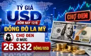 Tỷ giá USD hôm nay 12/6: Đô la Mỹ chạm mốc 26.332 đồng/USD
