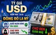 Tỷ giá USD hôm nay 14/6: Đô la Mỹ ổn định ở khối ngân hàng, cho đến giảm nhẹ