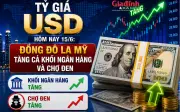 Tỷ giá USD hôm nay 15/6: Đồng đô la Mỹ tăng cả khối ngân hàng và chợ đen