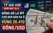 Tỷ giá USD hôm nay 16/6: Đô la Mỹ chợ đen bán ra ở vùng 26.410 đồng