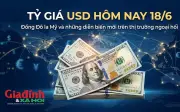 Tỷ giá USD hôm nay 18/6: Đô la Mỹ khởi ngân hàng giảm nhẹ, chợ đen bán ra ở vùng 26.410 đồng/USD