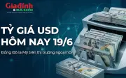 Tỷ giá USD hôm nay 19/6: Đồng đô la Mỹ chững giá sau chuỗi tăng liên tiếp
