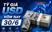 Tỷ giá USD hôm nay 30/6: Đô la Mỹ thị trường tự do tăng bất ngờ